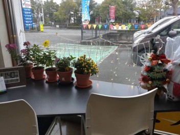 鉢植えの花が咲きました